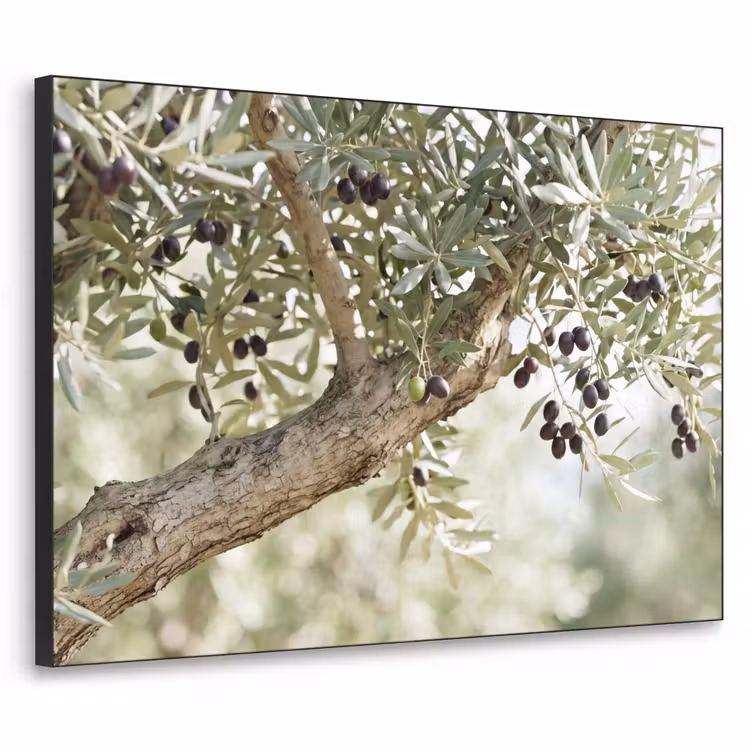 Art frame - Olijfboom - tak - groen - Olijfboom - tak - groen Textielframe zwart klein