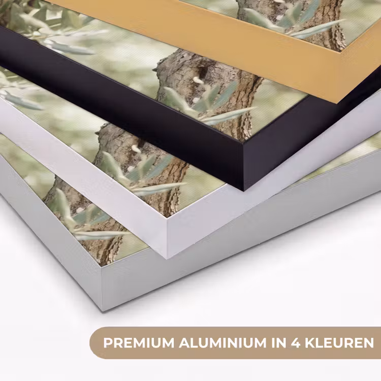 Art frame - Olijfboom - tak - groen - Olijfboom - tak - groen Textielframe zwart klein