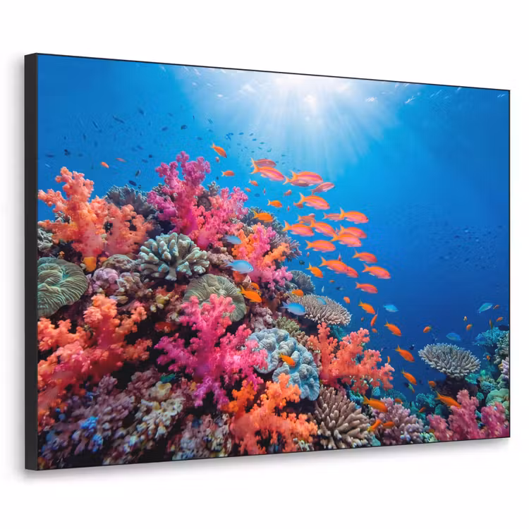 Onderwater - Koraalrif - Vissen - Oceaan - Natuur Textielframe zwart klein -3d