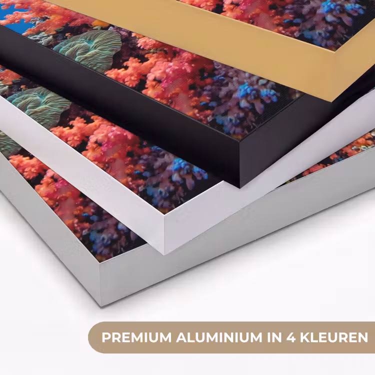 Onderwater - Koraalrif - Vissen - Oceaan - Natuur Textielframe zwart klein -USP_kleurenNL