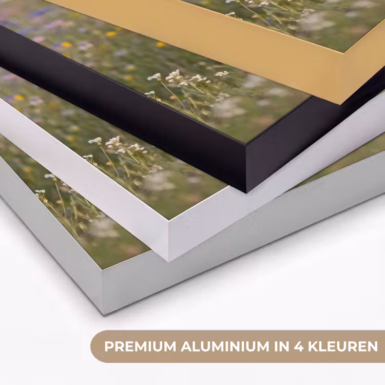 Ooienvaar - Bloemen - Weide - Kleurrijk Textielframe zwart klein -USP_kleurenNL