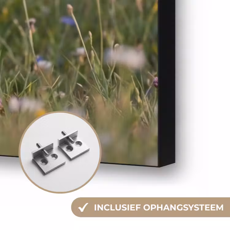 Ooienvaar - Bloemen - Weide - Kleurrijk Textielframe zwart klein -USP_ophangsysteemNL