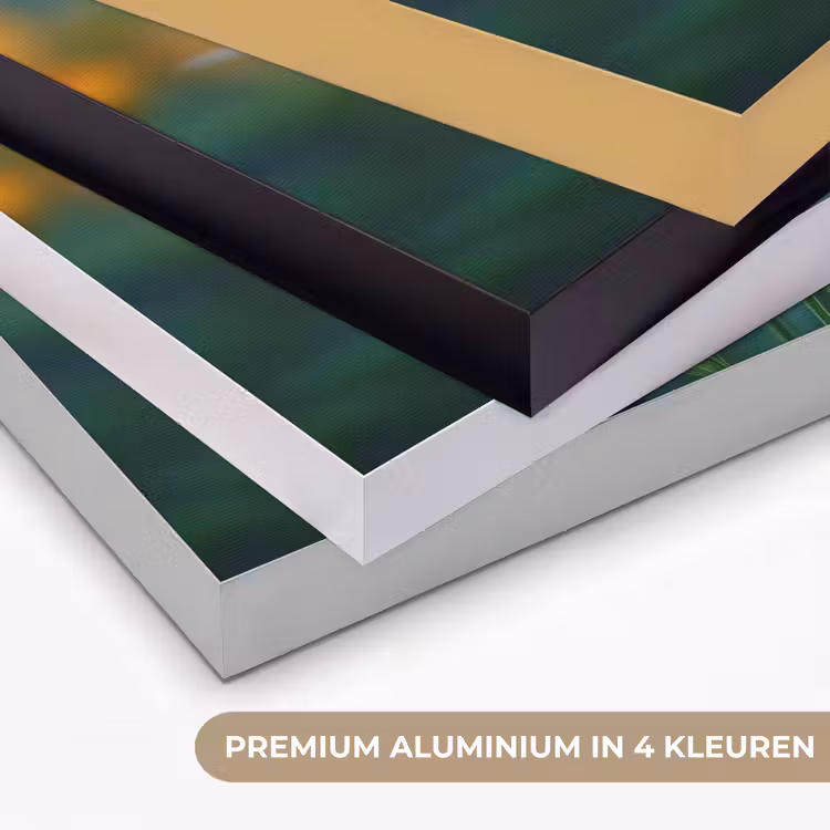 Oranje bloemen - Levendig - Wazige achtergrond Textielframe zwart klein -USP_kleurenNL