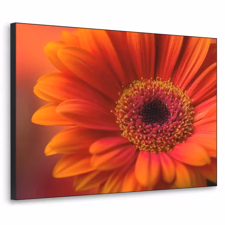 Oranje - Gerbera - Intens Textielframe zwart klein -3d