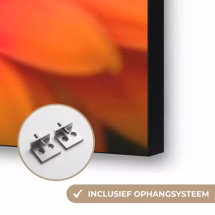 Oranje - Gerbera - Intens Textielframe zwart klein -USP_ophangsysteemNL