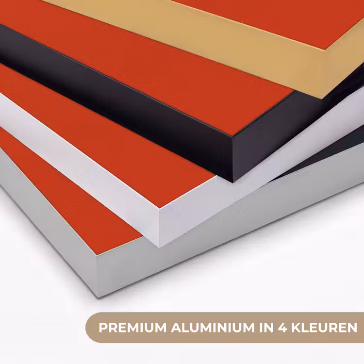 Oranje - Hoed - Vrouw Textielframe zwart klein -USP_kleurenNL