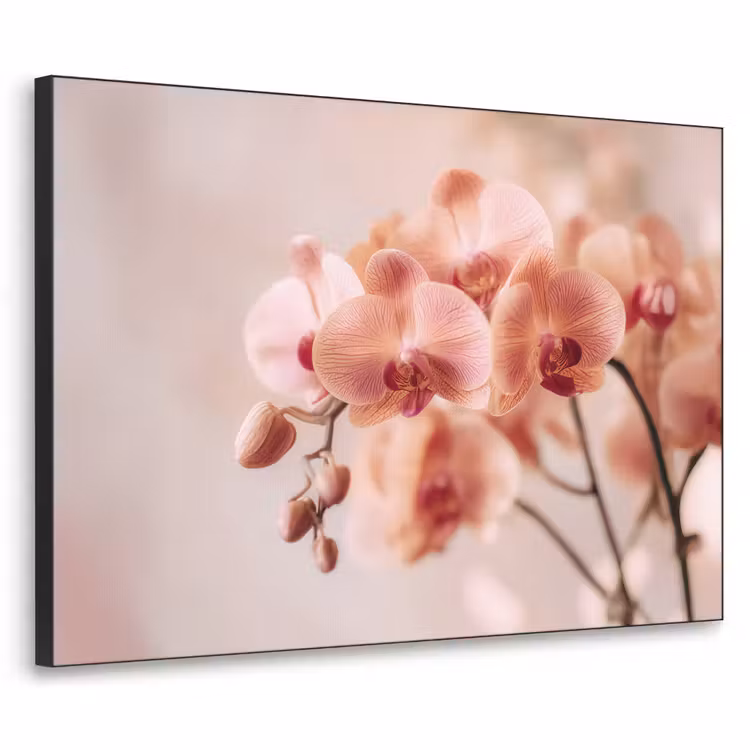 Orchidee - Bloemen - Roze - Bloemblaadjes Textielframe zwart klein -3d