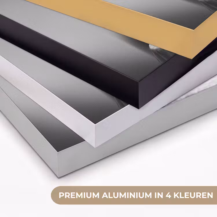 Paard - Bord - Pasta - Tafelkleed - Zwart Wit - Dieren Textielframe zwart klein -USP_kleurenNL