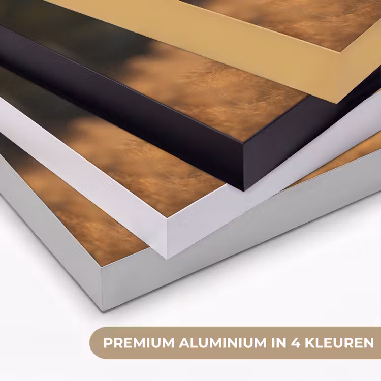 Paard - Bruin - Natuur - Weiland - Dier Textielframe zwart klein -USP_kleurenNL