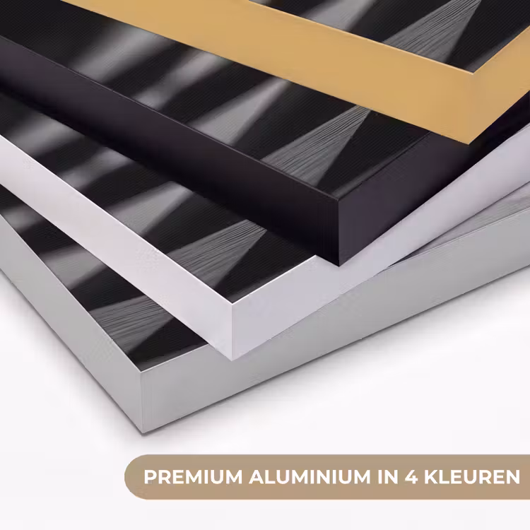 Paard - Hout - Schaalbord - Zwart Textielframe zwart klein -USP_kleurenNL