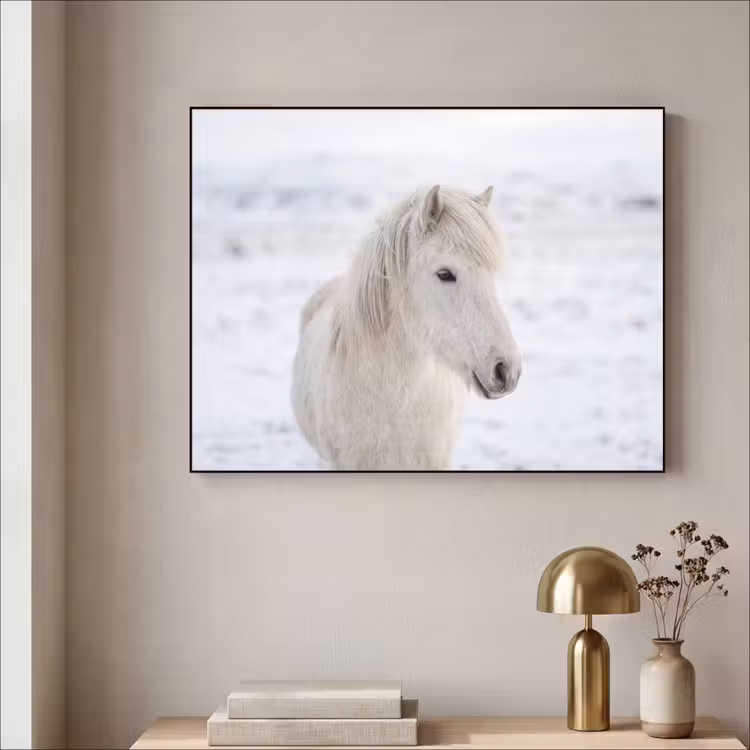 Paard - Kop - Winter - Dieren - Wit Textielframe zwart klein -sfeer2