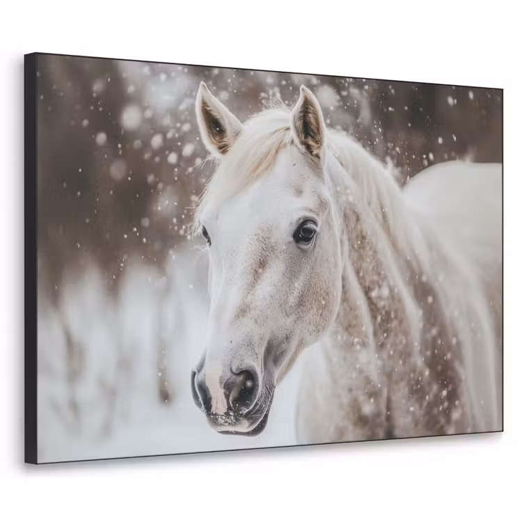 Paard - Wit - Winter - Natuur - Sneeuw - Dieren Textielframe zwart klein -3d