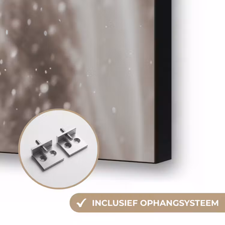 Paard - Wit - Winter - Natuur - Sneeuw - Dieren Textielframe zwart klein -USP_ophangsysteemNL