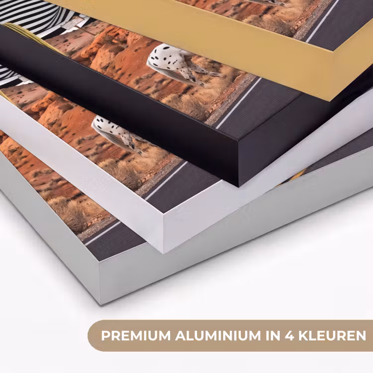 Art frame - Paard - Woestijn - Natuur - Paard - Woestijn - Natuur Textielframe zwart klein