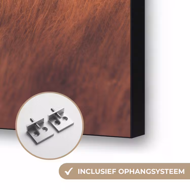 Paard - Wolken - Open veld Textielframe zwart klein -USP_ophangsysteemNL