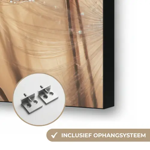Paardenbloem - Abstract - Natuur - Beige Textielframe zwart klein -USP_ophangsysteemNL