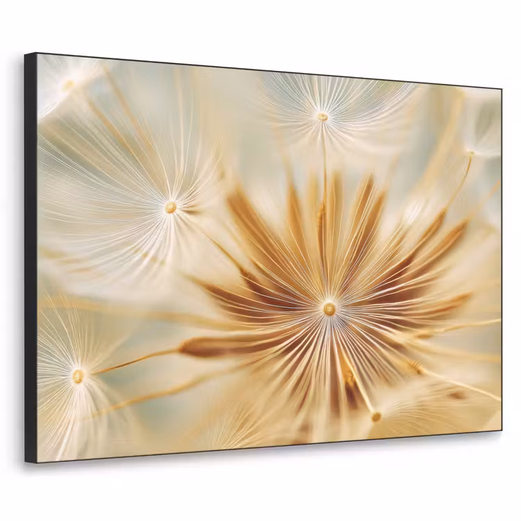 Paardenbloem - Beige - Abstract - Modern - Natuur Textielframe - compleet frame klein -3d