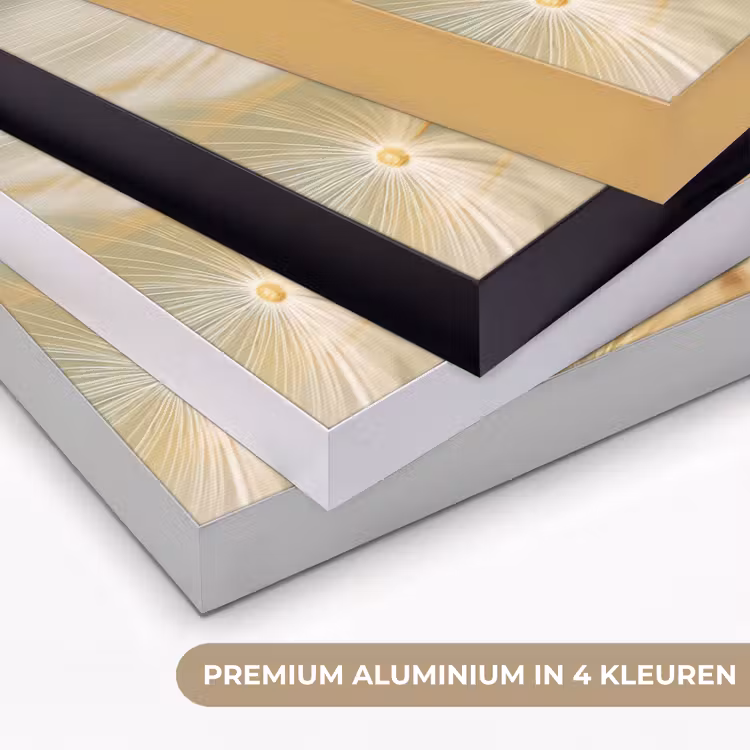 Paardenbloem - Beige - Abstract - Modern - Natuur Textielframe zwart klein -USP_kleurenNL