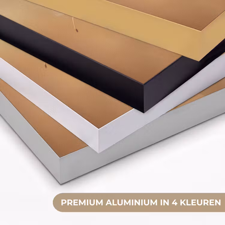 Paardenbloem - Beige - Natuur - Bloem Textielframe zwart klein -USP_kleurenNL