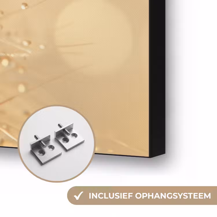 Paardenbloem - Water - Natuur - Planten - Modern Textielframe zwart klein -USP_ophangsysteemNL
