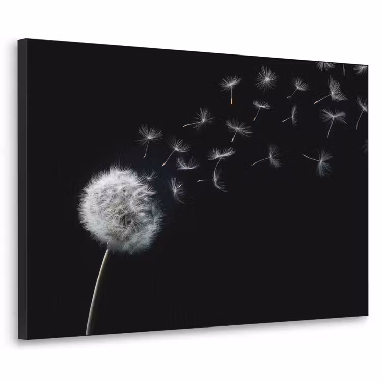 Paardenbloem - Zwart - Natuur Textielframe zwart klein -3d