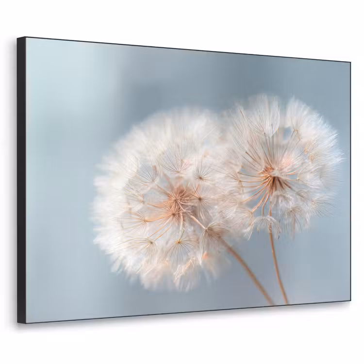 Paardenbloemen - Pluisjes - Wit Textielframe zwart klein -3d