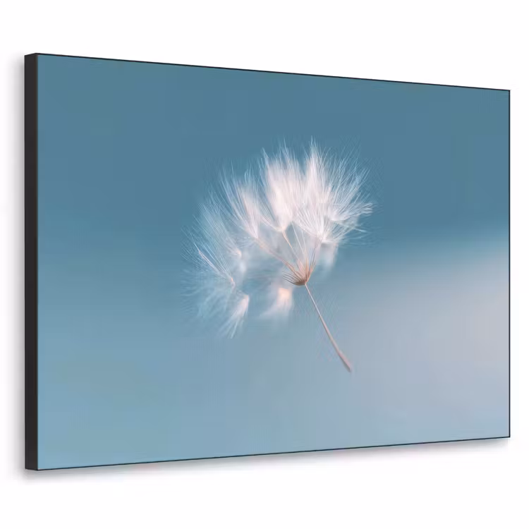 Paardenbloempluisje - Blauw - Lucht Textielframe zwart klein -3d