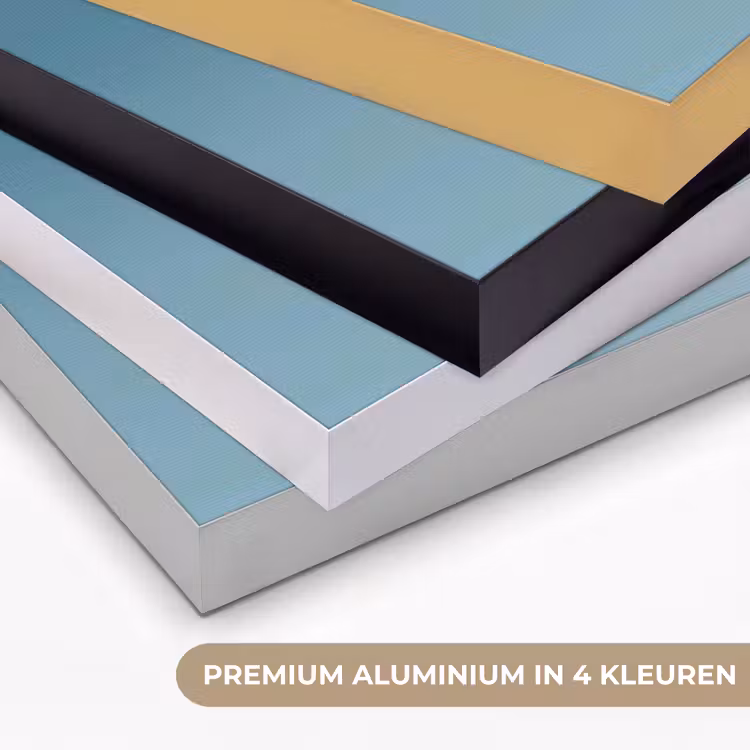 Paardenbloempluisje - Blauw - Lucht Textielframe zwart klein -USP_kleurenNL