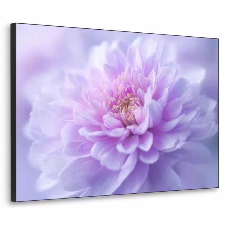 Paars - Dahlia - Dromerig Textielframe - compleet frame klein -3d