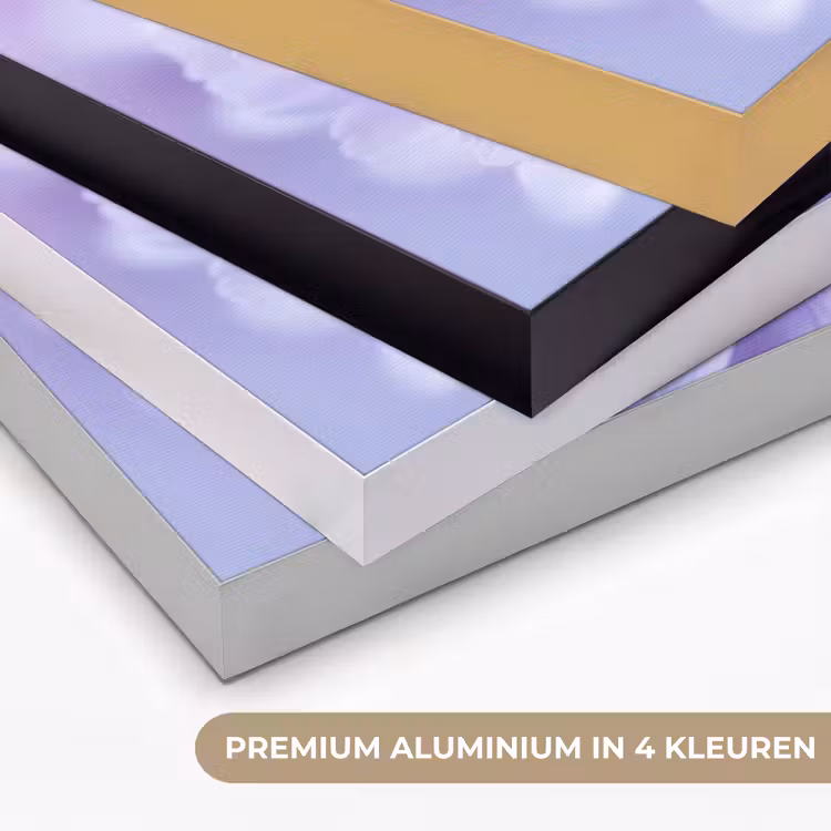 Paars - Dahlia - Dromerig Textielframe zwart klein -USP_kleurenNL
