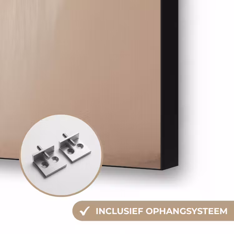 Palmboom - Schaduw - Trap - Beige Textielframe zwart klein -USP_ophangsysteemNL