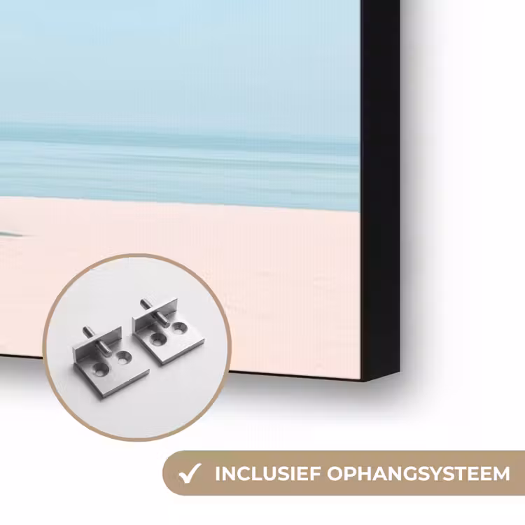 Palmboom - Strandhuis - Roze Textielframe zwart klein -USP_ophangsysteemNL