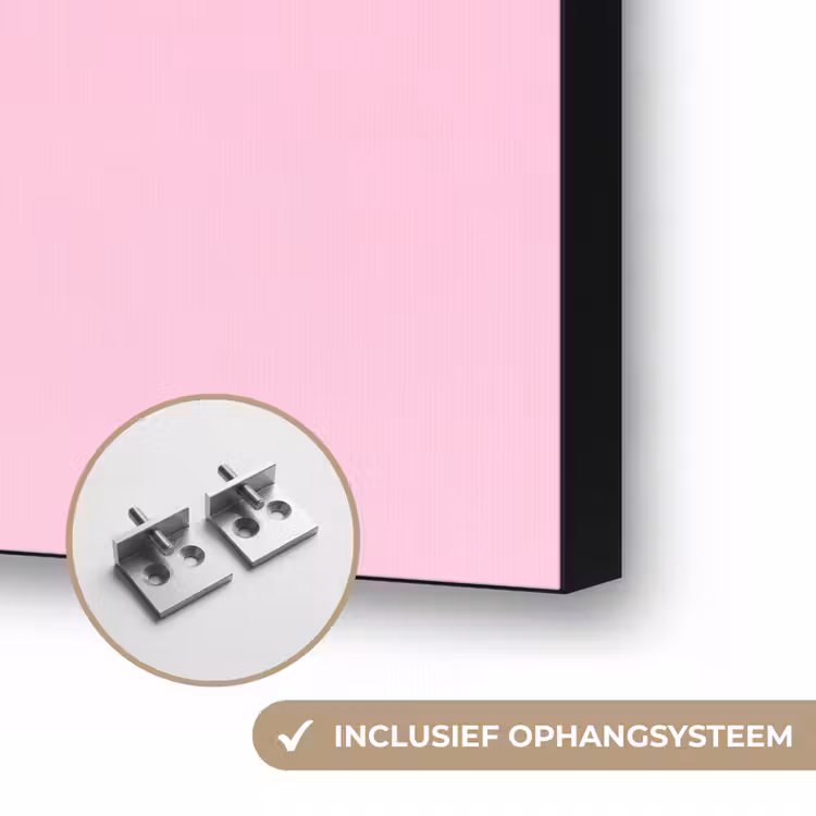 Palmboom - Tropisch - Pink Textielframe zwart klein -USP_ophangsysteemNL