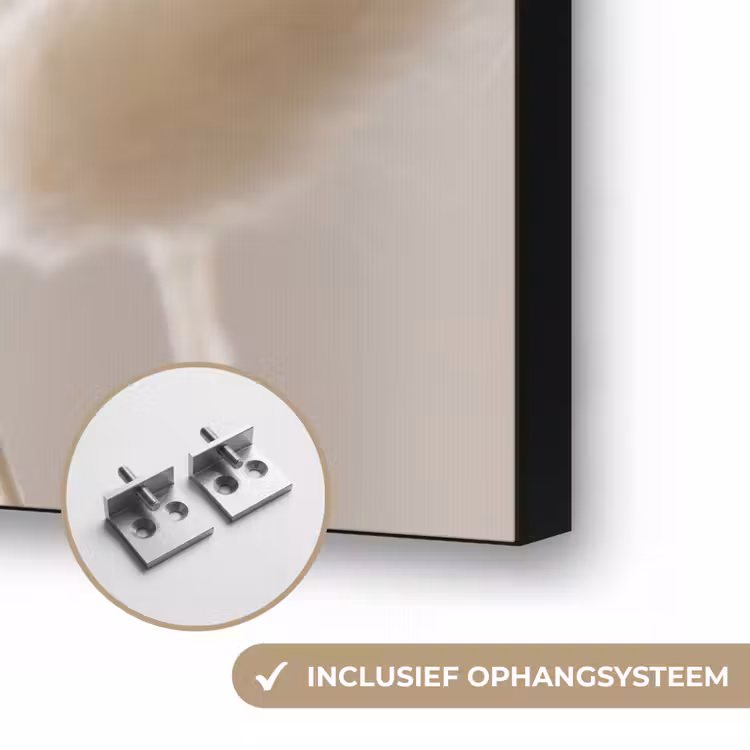Pampasgras - Pluim - Wit Textielframe zwart klein -USP_ophangsysteemNL