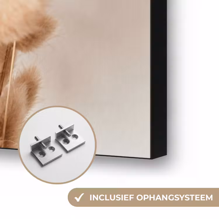 Pampasgras - Pluim - Wit - Beige Textielframe zwart klein -USP_ophangsysteemNL