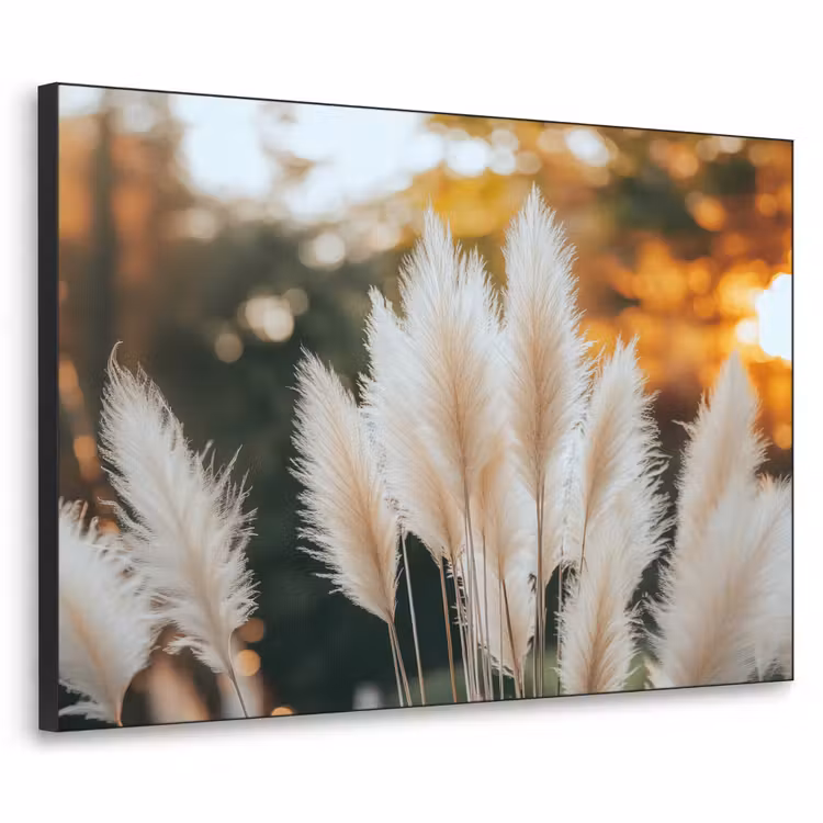 Pampasgras - Pluimen - Sierlijk Textielframe zwart klein -3d