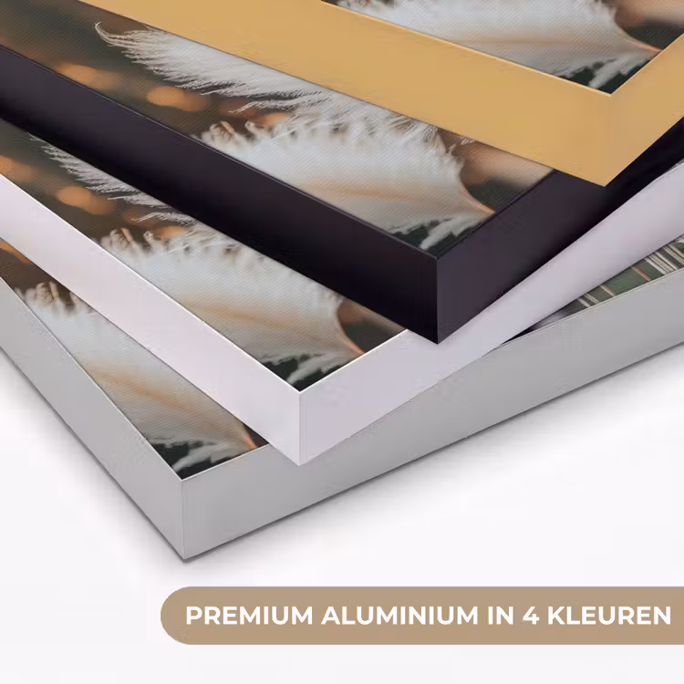 Pampasgras - Pluimen - Sierlijk Textielframe zwart klein -USP_kleurenNL