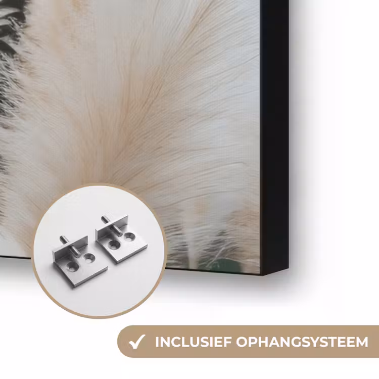 Pampasgras - Pluimen - Sierlijk Textielframe zwart klein -USP_ophangsysteemNL