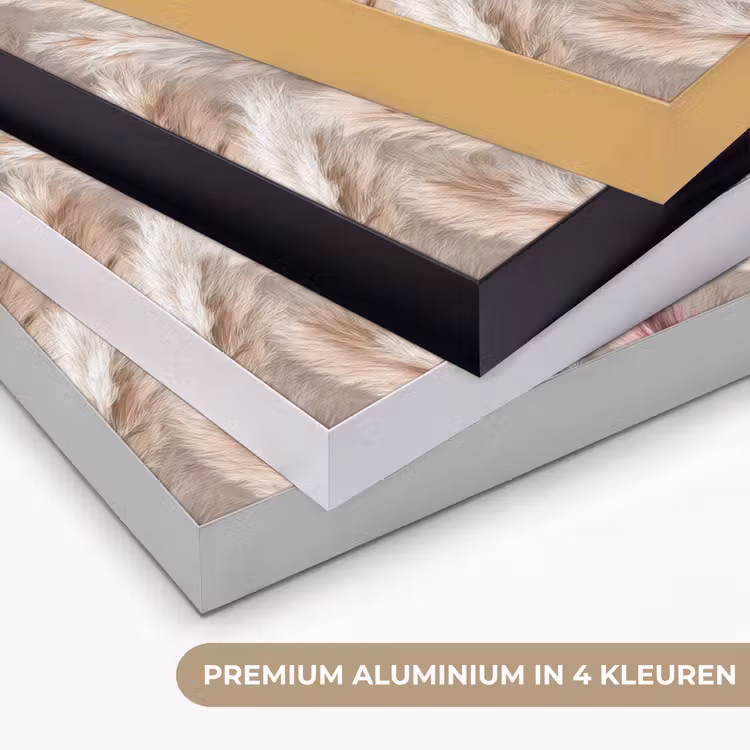 Pampasgras - Pluizig - Kleurrijk Textielframe zwart klein 947 -USP_kleurenNL