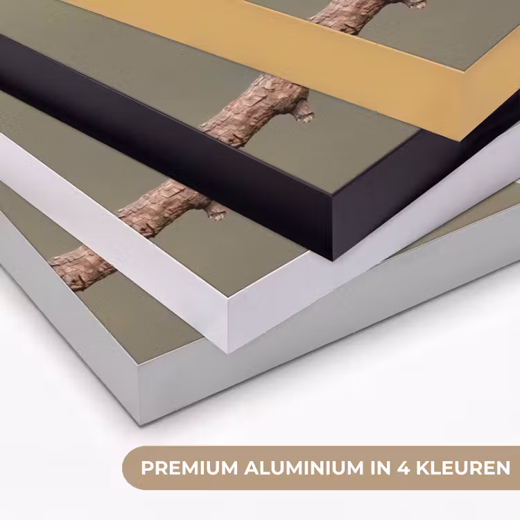 Papagaai - Tak - Natuur - Kleurrijk Textielframe zwart klein -USP_kleurenNL