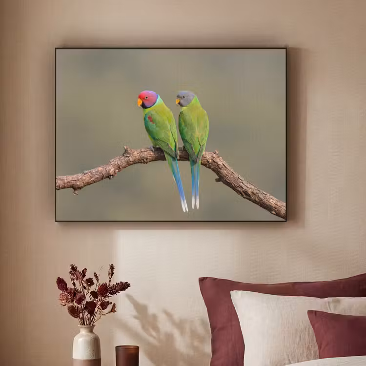 Papagaai - Tak - Natuur - Kleurrijk Textielframe zwart klein -sfeer1