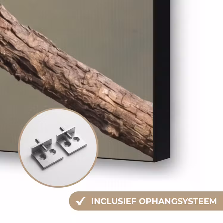 Papagaai - Tak - Natuur - Kleurrijk Textielframe zwart klein -USP_ophangsysteemNL