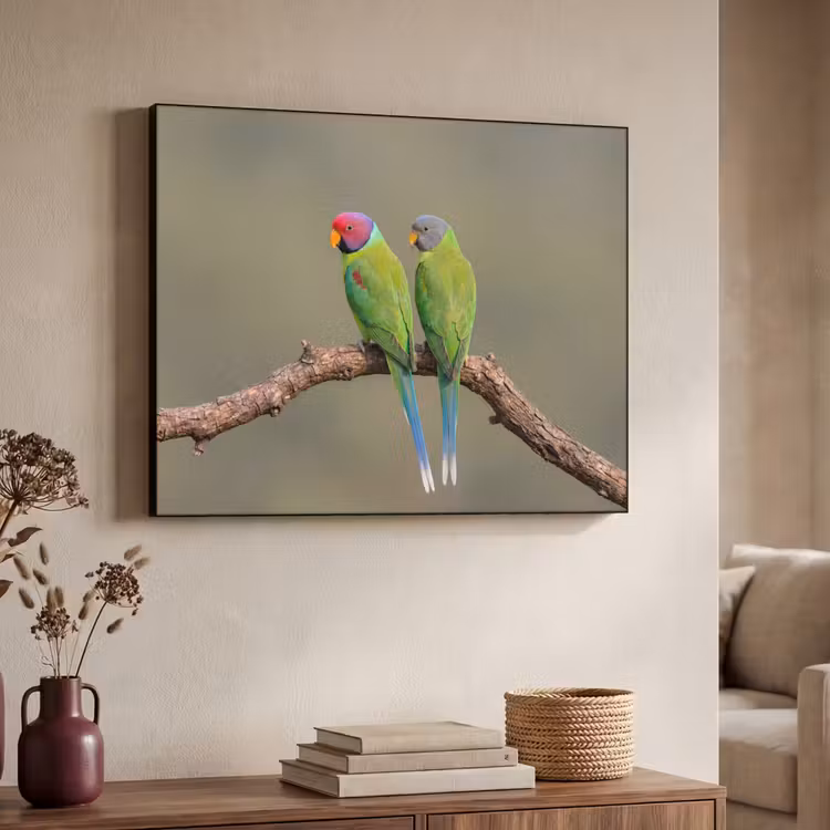 Papagaai - Tak - Natuur - Kleurrijk Textielframe zwart klein -sfeer3