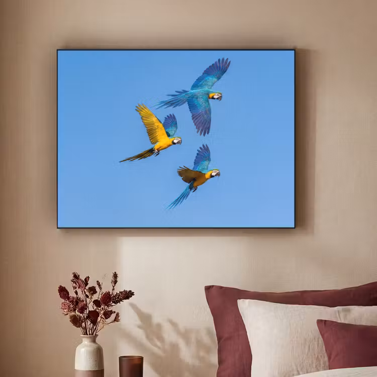 Papagaai - Vliegen - Blauw - Geel Textielframe zwart klein -sfeer1