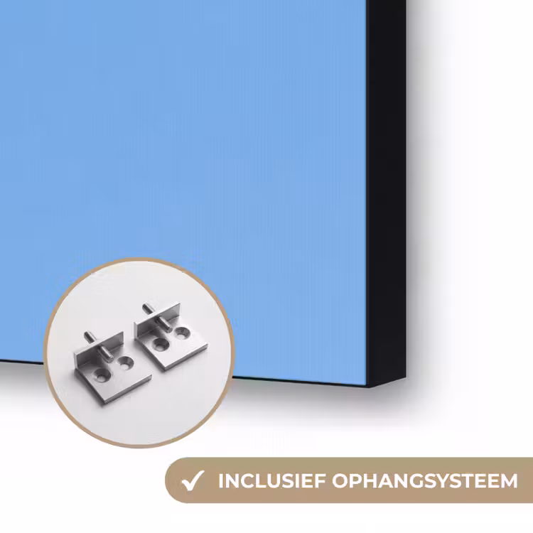 Papagaai - Vliegen - Blauw - Geel Textielframe zwart klein -USP_ophangsysteemNL