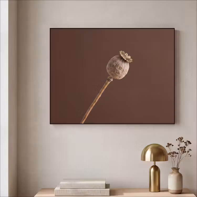 Papaverbol - Droogbloem - Bruin - Minimalistisch Textielframe zwart klein -sfeer2