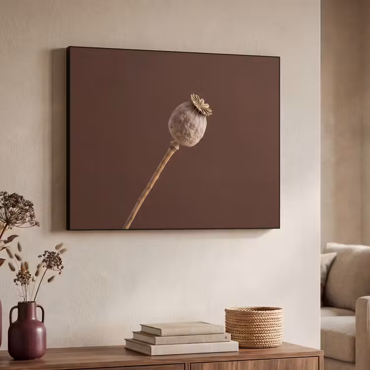 Papaverbol - Droogbloem - Bruin - Minimalistisch Textielframe zwart klein -sfeer3