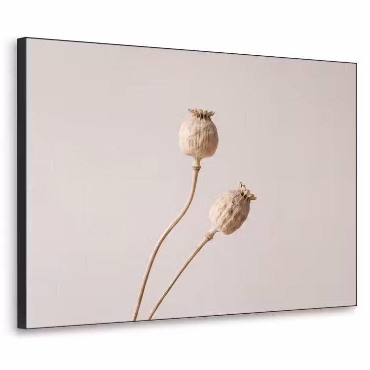 Papaverbollen - Droogbloemen - Minimalistisch - Beige - Rustig Textielframe zwart klein -3d