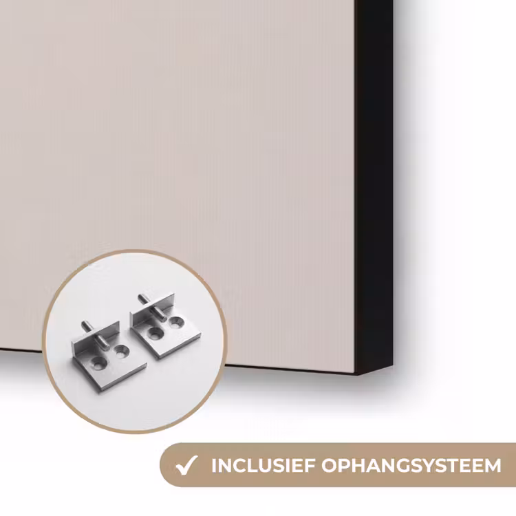 Papaverbollen - Droogbloemen - Minimalistisch - Beige - Rustig Textielframe zwart klein -USP_ophangsysteemNL