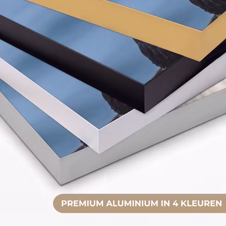 Papegaaiduiker - Portret - Natuur Textielframe zwart klein -USP_kleurenNL